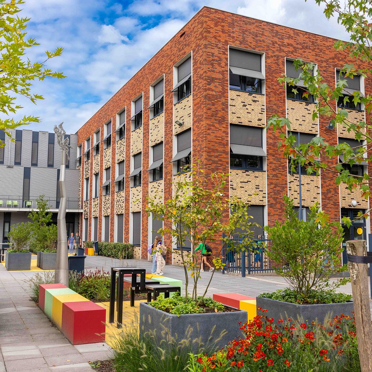 Dr Mollercollege 