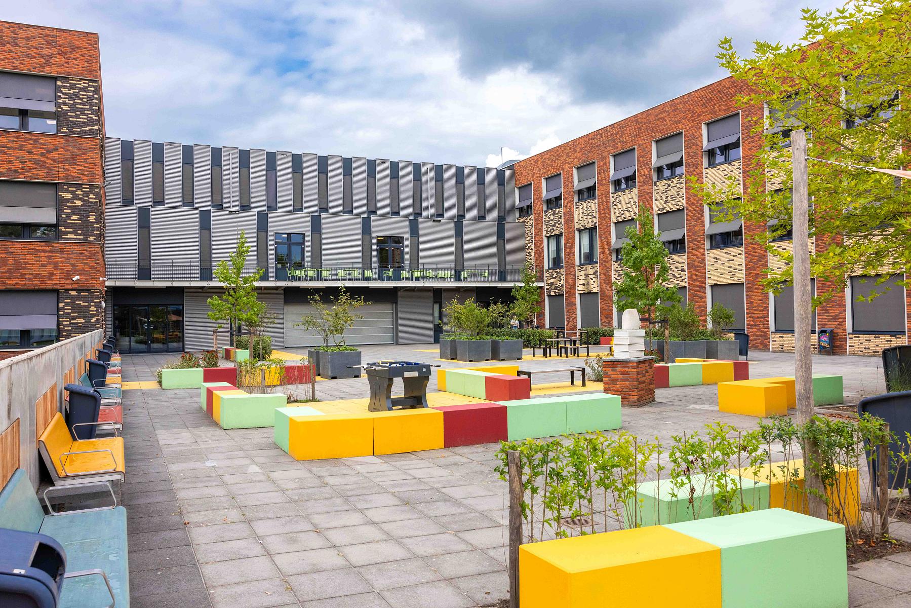 Dr Mollercollege 
