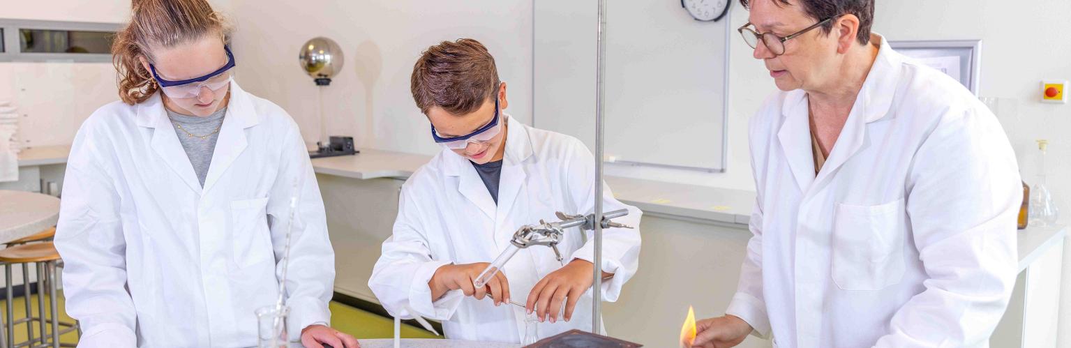Dr Mollercollege
